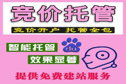SEM竞价专员优化策略案例分析